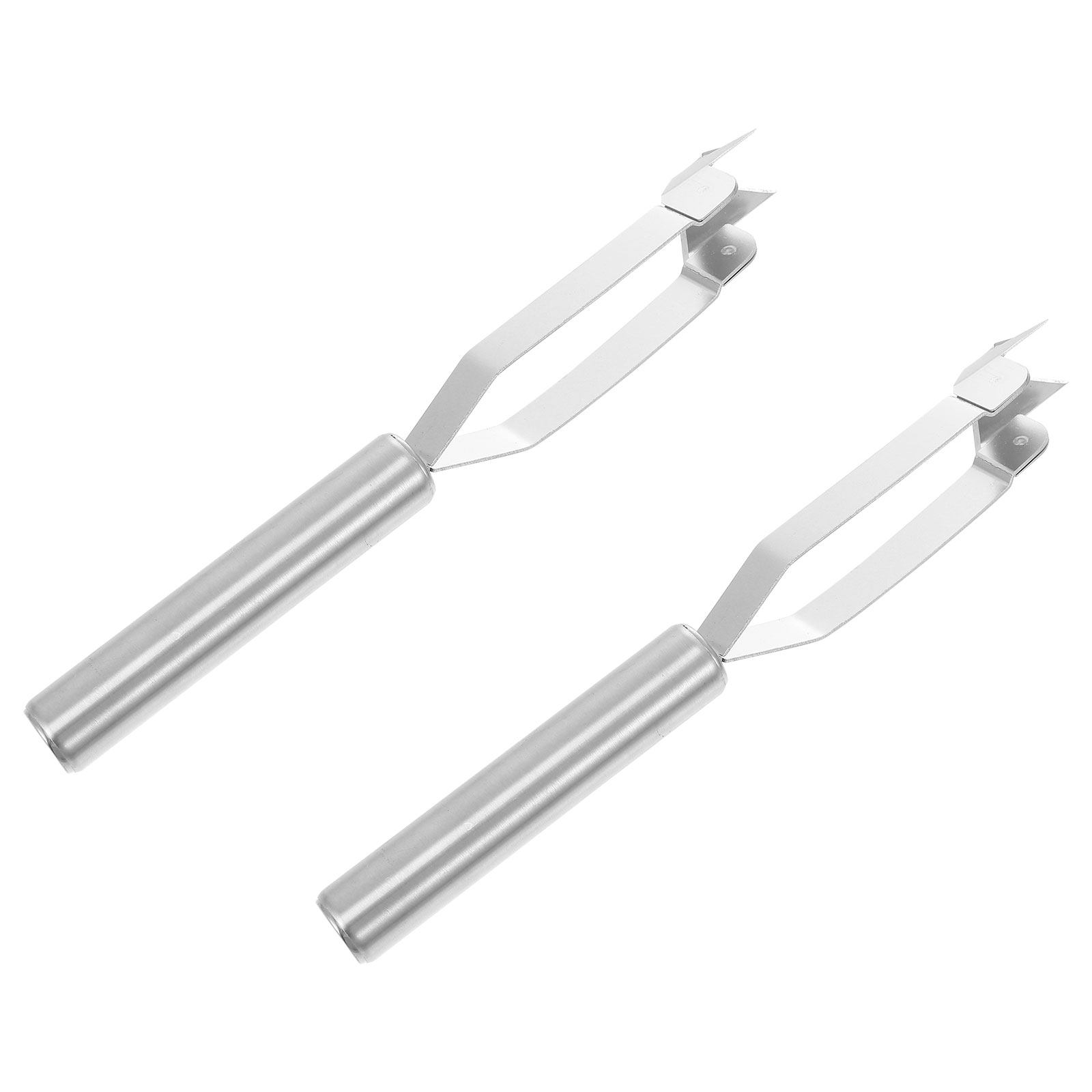 2Pcs Stainless Steel Pineapple - Kitchen Gadgets Store ulasan dan harga