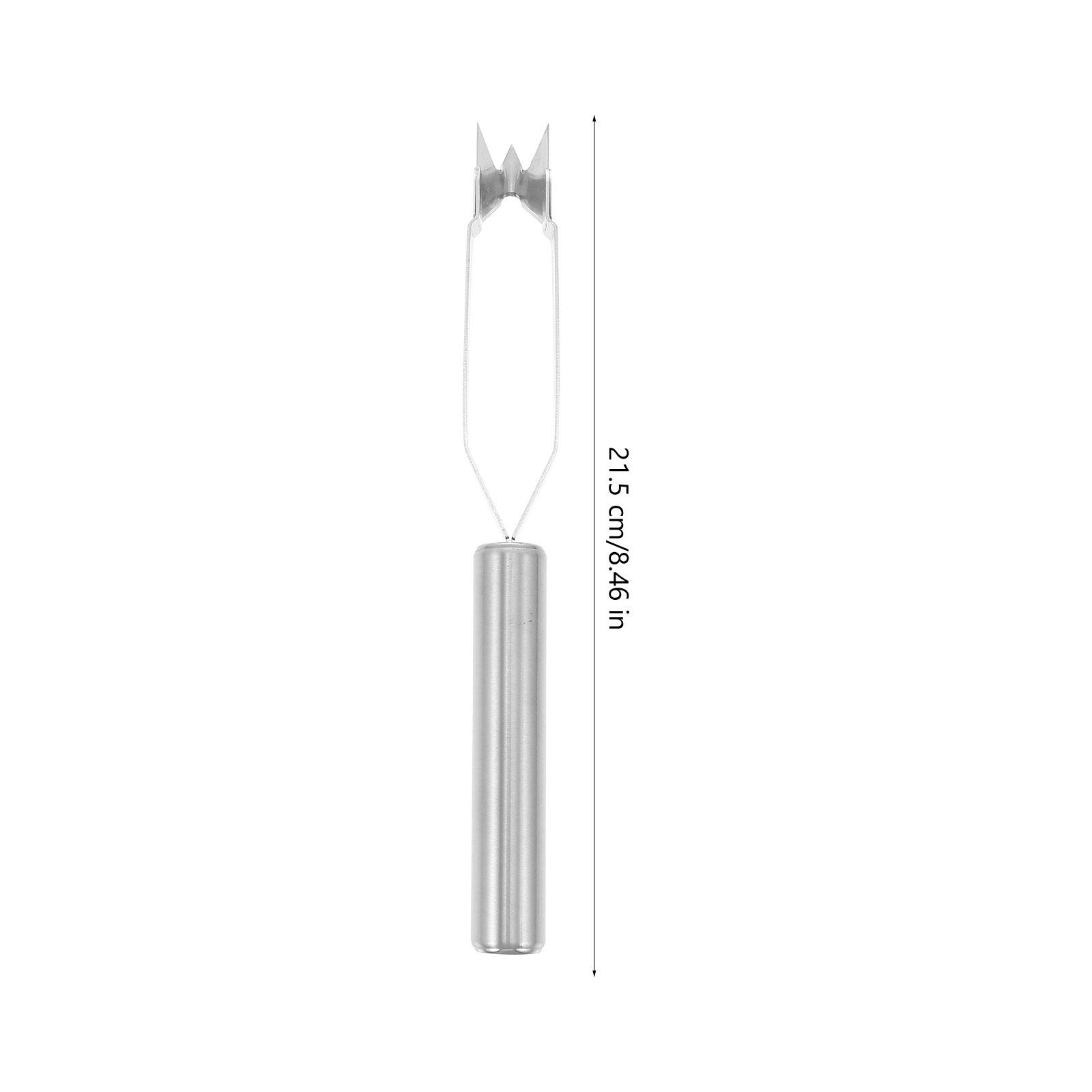2Pcs Stainless Steel Pineapple - Kitchen Gadgets Store ulasan dan harga