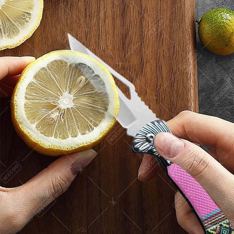 WXCOO Folding Knife Stainless  - Kitchen Gadgets You Need ulasan dan harga