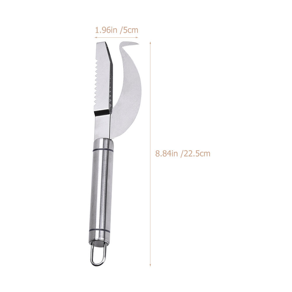2Pcs Stainless Steel Fish Skin - Kitchen Gadgets Store ulasan dan harga