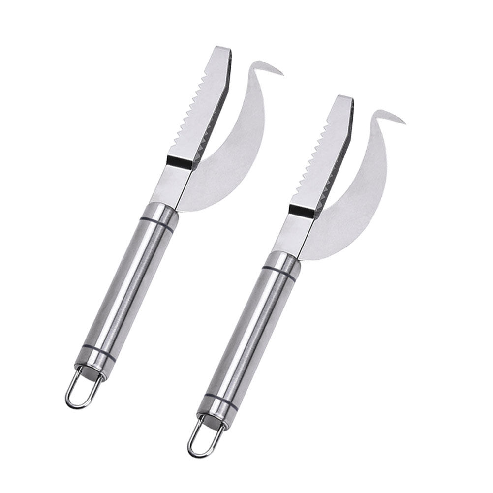 2Pcs Stainless Steel Fish Skin - Kitchen Gadgets Store ulasan dan harga