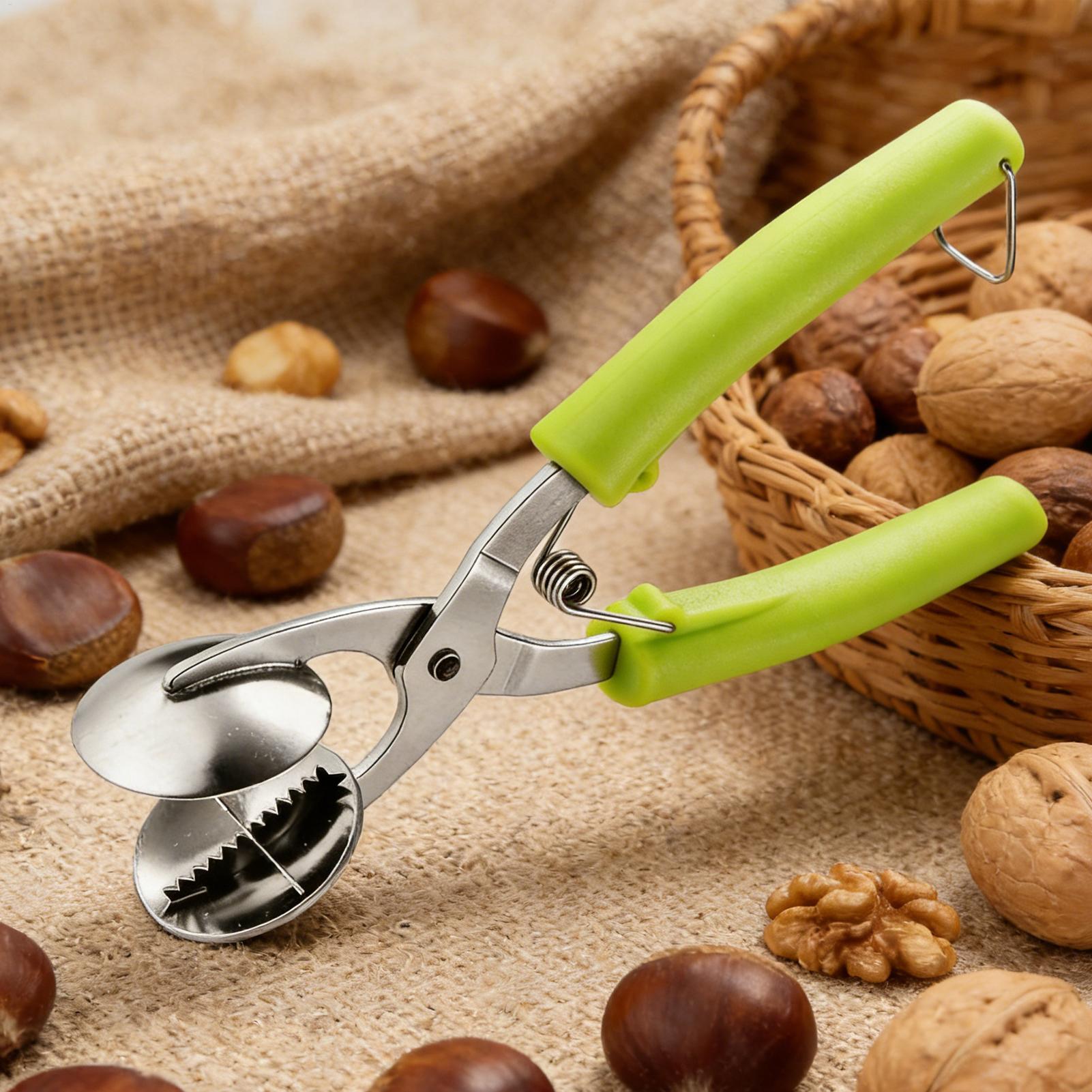 Stainless Chestnut Machine Kit - Kitchen Gadgets Everyone Needs ulasan dan harga
